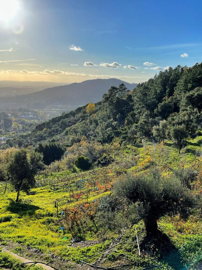Quinta Altamira Διαμέρισμα Portalegre Εξωτερικό φωτογραφία
